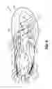 Fig. 18 - Articles of footwear