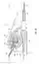 Fig. 13 - Web adjusters for use with restraint systems and associated methods of use and manufacture