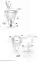 Fig. 05 - Jewelry Item with a Plurality of Interchangeable Strands and Clasps