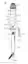 Fig. 01 - HAIR CARE DEVICE