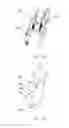 Fig. 09 - An Electrical Hair Removal Device and Control Method