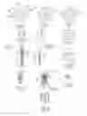 Fig. 03 - Device and applicator for a cosmetic product