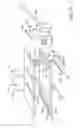 Fig. 10 - Therapeutic back support and stabilization