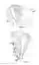 Fig. 05 - Contouring device