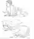 Fig. 02 - CHILDREN'S CRAWLING AID THAT ROCKS
