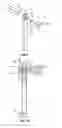 Fig. 05 - Collapsing clothing display fixture