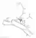 Fig. 01 - Garment hanger with reusable lower neck sizer