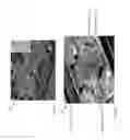 Fig. 09 - Eye-tracking system and method therefor