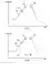 Fig. 04 - HEART RATE MEASUREMENT