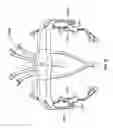 Fig. 30 - Systems and methods to gather and analyze electroencephalographic data