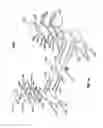 Fig. 33 - Systems and methods to gather and analyze electroencephalographic data