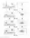 Fig. 06 - BLOOD ANALYTE COLLECTION DEVICE AND METHODS OF USE THEREOF