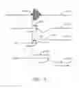 Fig. 06 - Systems and methods for measuring reactions of head, eyes, eyelids and pupils