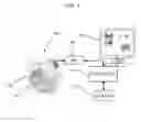 Fig. 02 - MAGNETIC RESONANCE IMAGING TOOL TO DETECT CLINICAL DIFFERENCE IN BRAIN ANATOMY