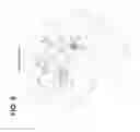Fig. 07 - System and method for optical detection of skin disease