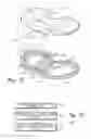 Fig. 17 - Muscular-skeletal joint stability detection and method therefor