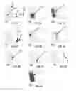 Fig. 10 - Membrane and balloon systems and designs for conduits