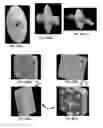 Fig. 13 - Membrane and balloon systems and designs for conduits