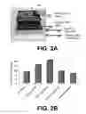 Fig. 04 - ViRPET—combination of virtual reality and PET brain imaging