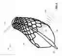Fig. 06 - Devices, systems, and methods for in-stent restenosis prediction