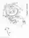 Fig. 03 - Combination optical and ultrasonic imaging of an eye