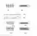 Fig. 02 - Embolisation systems