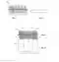 Fig. 03 - Embolisation systems