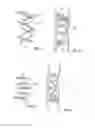 Fig. 19 - Embolisation systems