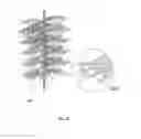 Fig. 34 - Embolisation systems