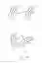 Fig. 62 - Embolisation systems