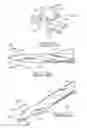Fig. 11 - Drill bit and method for producing a drill bit
