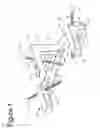Fig. 02 - INSTRUMENT FOR FRACTURE FRAGMENT ALIGNMENT AND STABILIZATION
