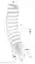 Fig. 06 - Coaxial coil lock