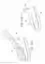 Fig. 20 - Hand held dermaplaning device and dermaplaning process