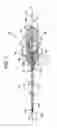 Fig. 06 - Dilator for accessing a joint space
