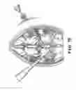 Fig. 12 - Bioactive fusion device
