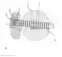 Fig. 04 - Bone plate for elastic osteosynthesis