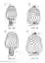 Fig. 03 - Delivery of apparatus and methods for vertebrostenting