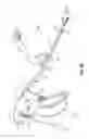 Fig. 06 - Energizable attachment for surgical devices
