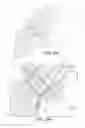 Fig. 13 - Evaluating prosthetic heart valve placement