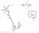 Fig. 01 - Spinal surgery navigation