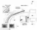 Fig. 01 - Shape tracking of a dexterous continuum manipulator