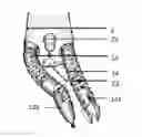 Fig. 01 - Robotic system