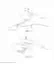 Fig. 03 - TISSUE TRANSFER SYSTEMS