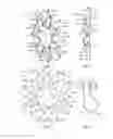 Fig. 06 - Devices and methods for retrievable intra-atrial implants