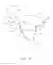 Fig. 06 - Cardiac valve repair device