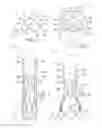 Fig. 02 - System and method for treating valve insufficiency or vessel dilatation