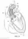 Fig. 14 - System and method for treating valve insufficiency or vessel dilatation