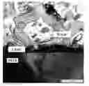 Fig. 01 - Osteoconductive coating of implants made of plastic