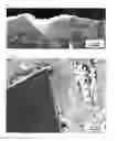 Fig. 07 - Osteoconductive coating of implants made of plastic